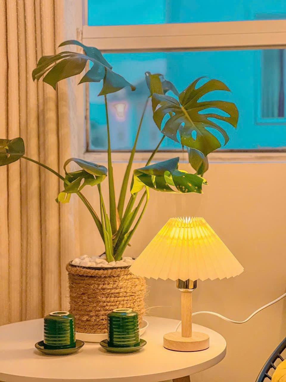 Vu Nhi Hotel Далат Экстерьер фото